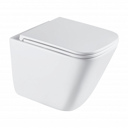 Подвесной унитаз безободковый Terminus Ватикан Монолит 490х340 белый Энгельс - фото 2