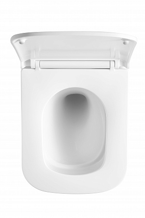 Подвесной унитаз безободковый Terminus Ватикан Монолит 490х340 белый Энгельс - фото 3